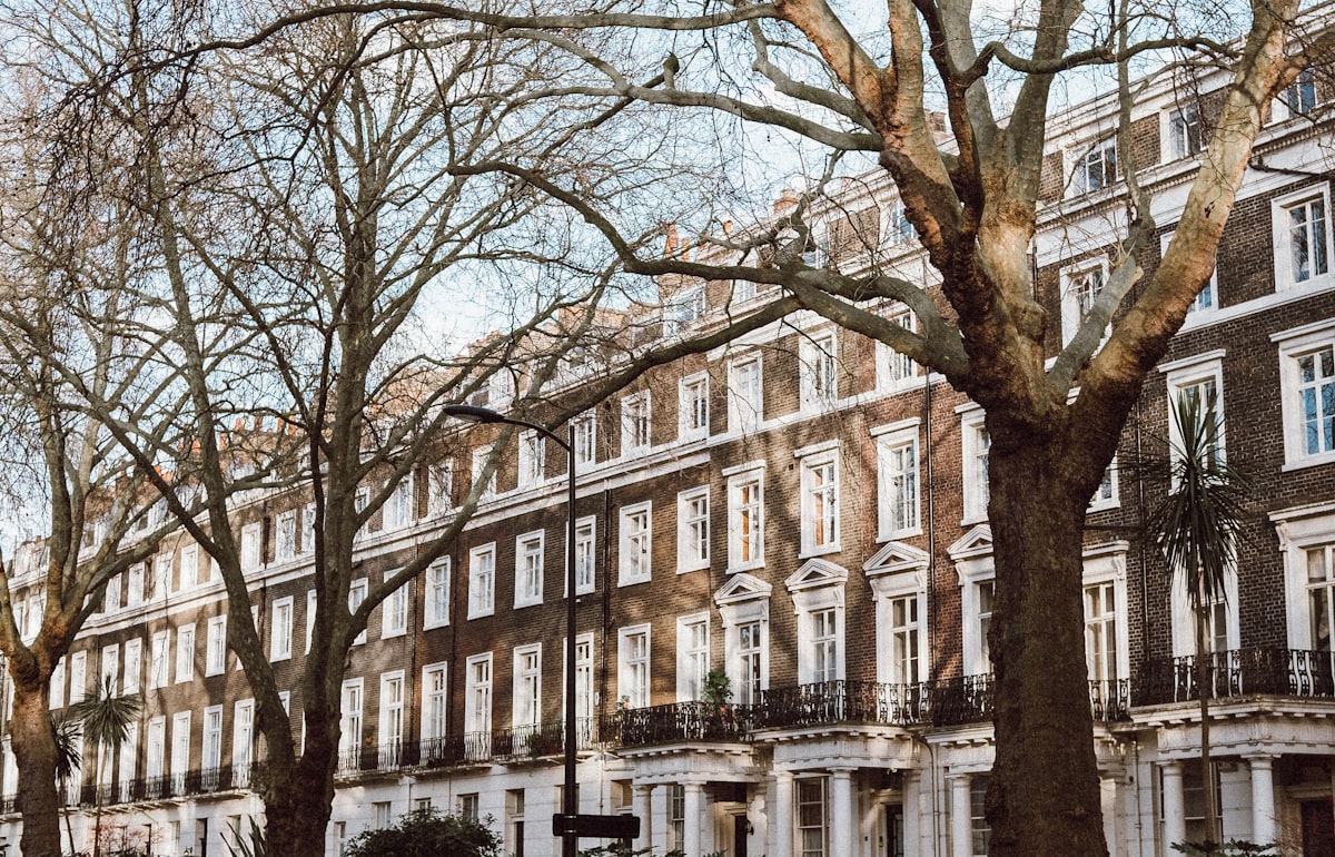 bare trees in front of white concrete building related to Top Bed and Breakfasts in London: Cozy Stays for Every Traveler