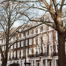 bare trees in front of white concrete building related to Top Bed and Breakfasts in London: Cozy Stays for Every Traveler