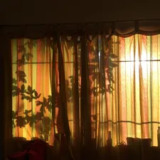 beige window curtain during daytime related to Dress Up Your Windows with a Shimmering Silver Window Valance