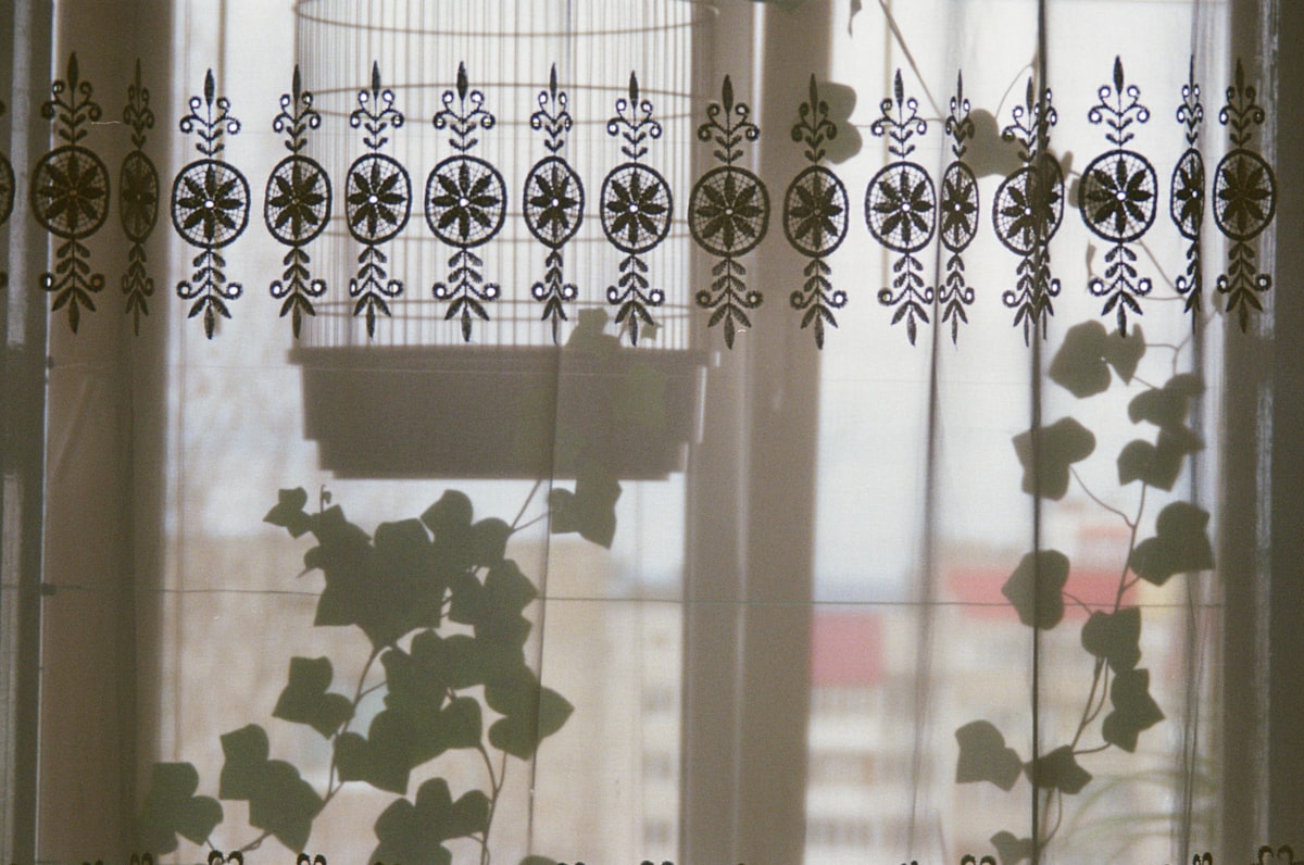 Birdcage hanging behind a decorative curtain related to Park Designs for Window Valances