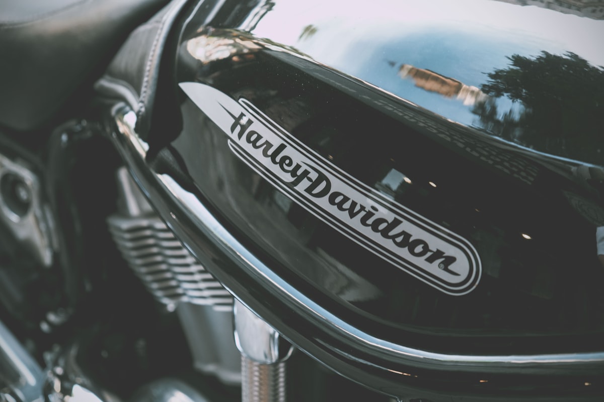black and gray Harley-Davidson motorcycle related to Harley Davidson Valance