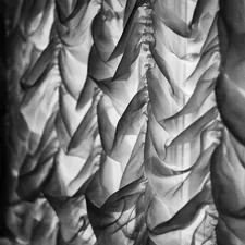 Black and white draped fabric with dramatic lighting. related to Master the Ruffled Valence: A Step-by-Step Guide