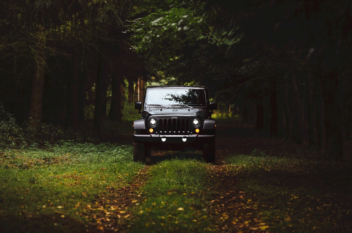 black Jeep Wrangler SUV on green under trees related to Exploring the Jeep with a Truck Bed: A Unique Blend of Adventure and Utility