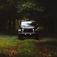 black Jeep Wrangler SUV on green under trees related to Exploring the Jeep with a Truck Bed: A Unique Blend of Adventure and Utility