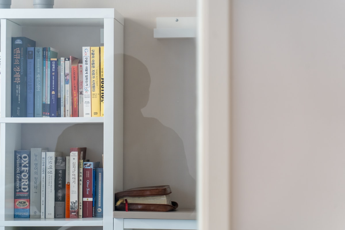 Bookshelf partially obscured by a door. related to Built-In Furniture Essentials