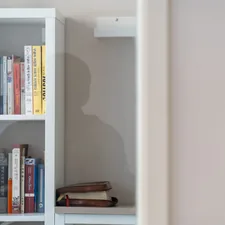 Bookshelf partially obscured by a door. related to Built-In Furniture Essentials