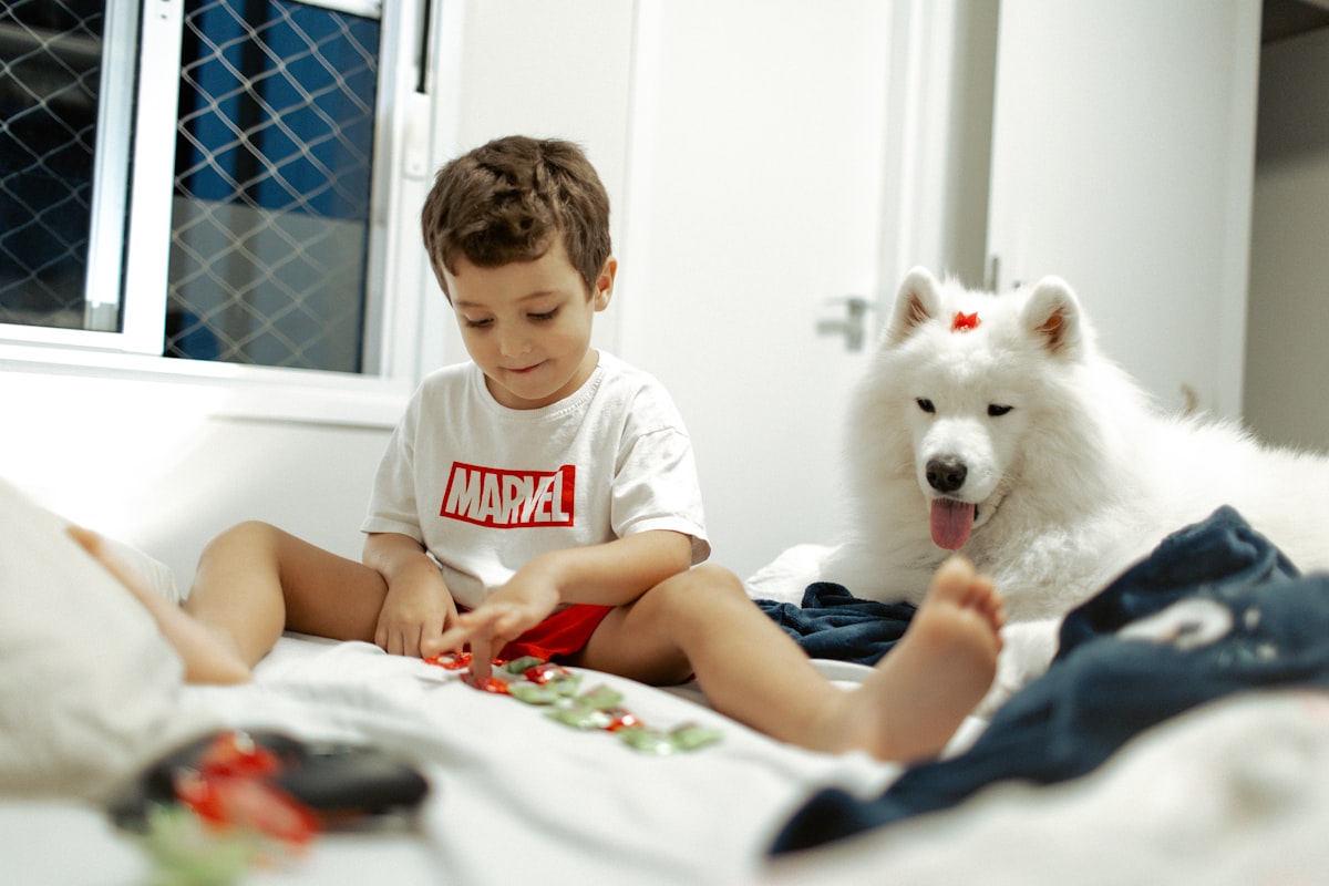 Boy and dog sitting on a bed playing related to The Perfect Red Dog Bed for Your Furry Friend