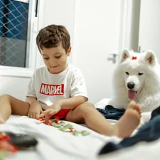 Boy and dog sitting on a bed playing related to The Perfect Red Dog Bed for Your Furry Friend