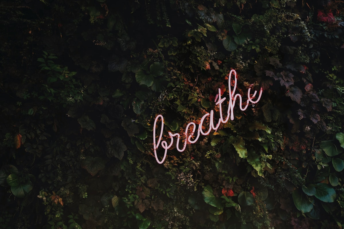 …breathe! For a full size digital copy (6000x4000px RAW+JPG) of this file, or a high quality print, please contact me via instagram: @timothy.j.g, or email: tim@goedhart-lin.nl That file would be free to use for any means except direct reselling (copywrite is included in metadata). When using this free image online: please tag, credit and if you want, follow me on Instagram. related to Breathe New Life into Your Bedroom