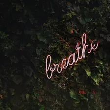 …breathe! For a full size digital copy (6000x4000px RAW+JPG) of this file, or a high quality print, please contact me via instagram: @timothy.j.g, or email: tim@goedhart-lin.nl That file would be free to use for any means except direct reselling (copywrite is included in metadata). When using this free image online: please tag, credit and if you want, follow me on Instagram. related to Breathe New Life into Your Bedroom