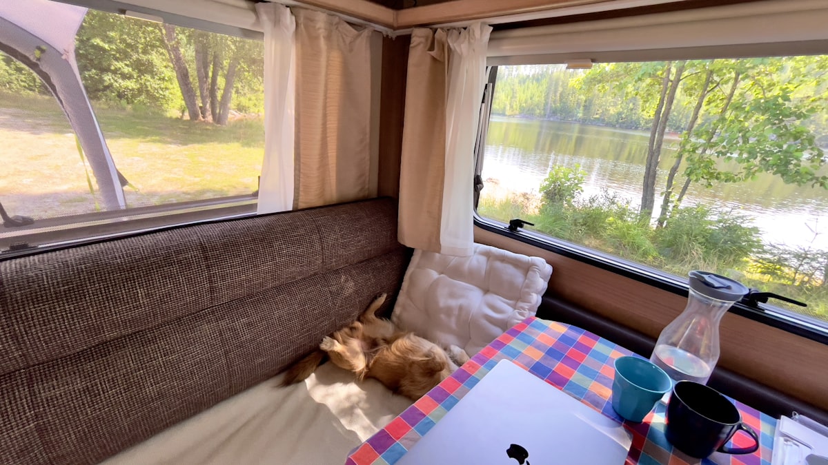 brown and white short coated dog lying on bed related to Luxury Campers with Spacious King-Size Beds
