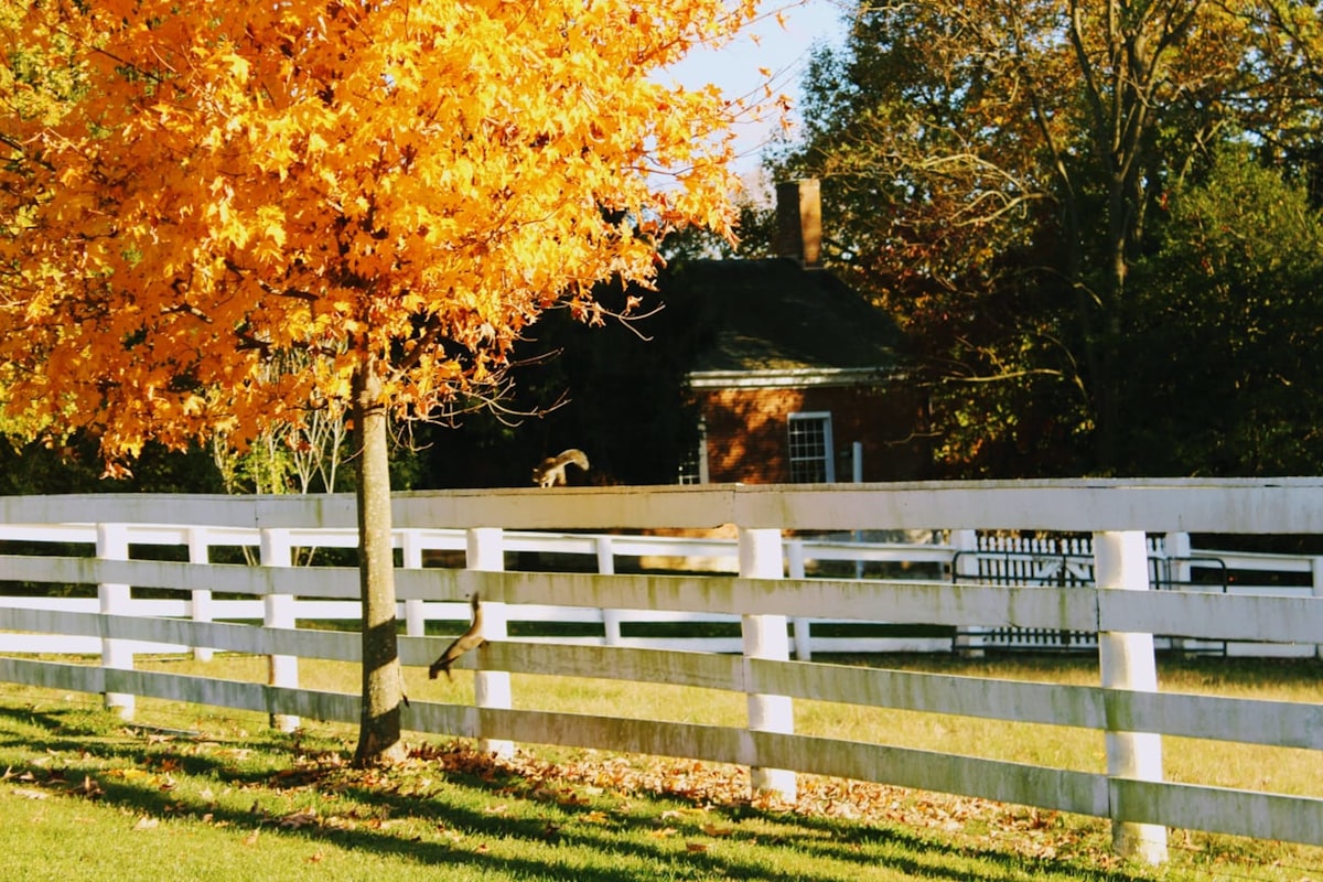 brown and white wooden house near green trees during daytime related to Explore Charming Bed and Breakfasts in Kentucky