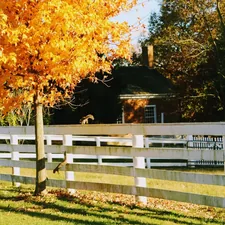 brown and white wooden house near green trees during daytime related to Explore Charming Bed and Breakfasts in Kentucky
