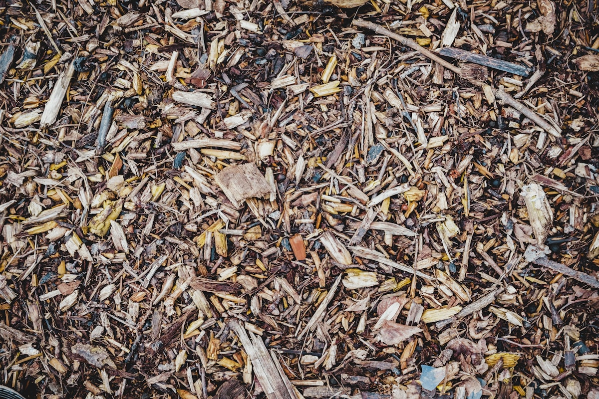 brown leaves related to The Ultimate Guide to Small Animal Bedding