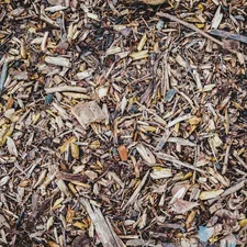 brown leaves related to The Ultimate Guide to Small Animal Bedding