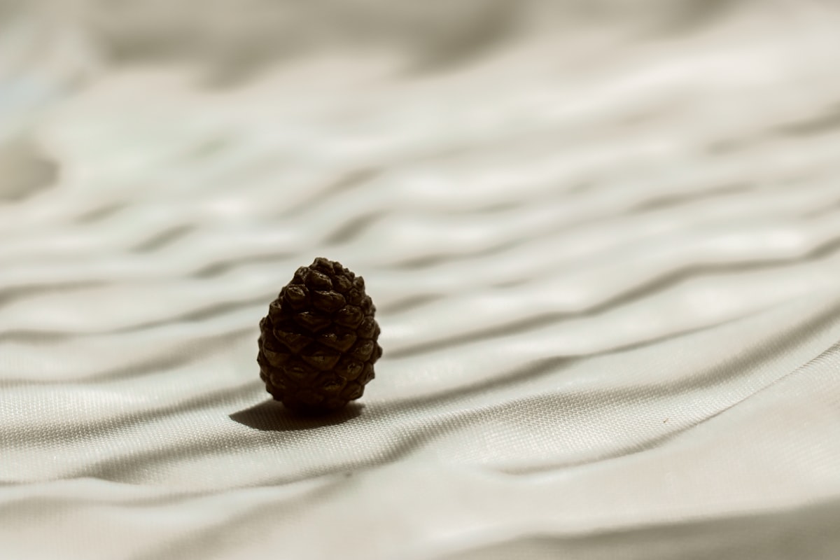 brown pine cone on white textile related to Luxurious Pine Cone Hill Coverlet Designs