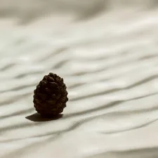 brown pine cone on white textile related to Luxurious Pine Cone Hill Coverlet Designs