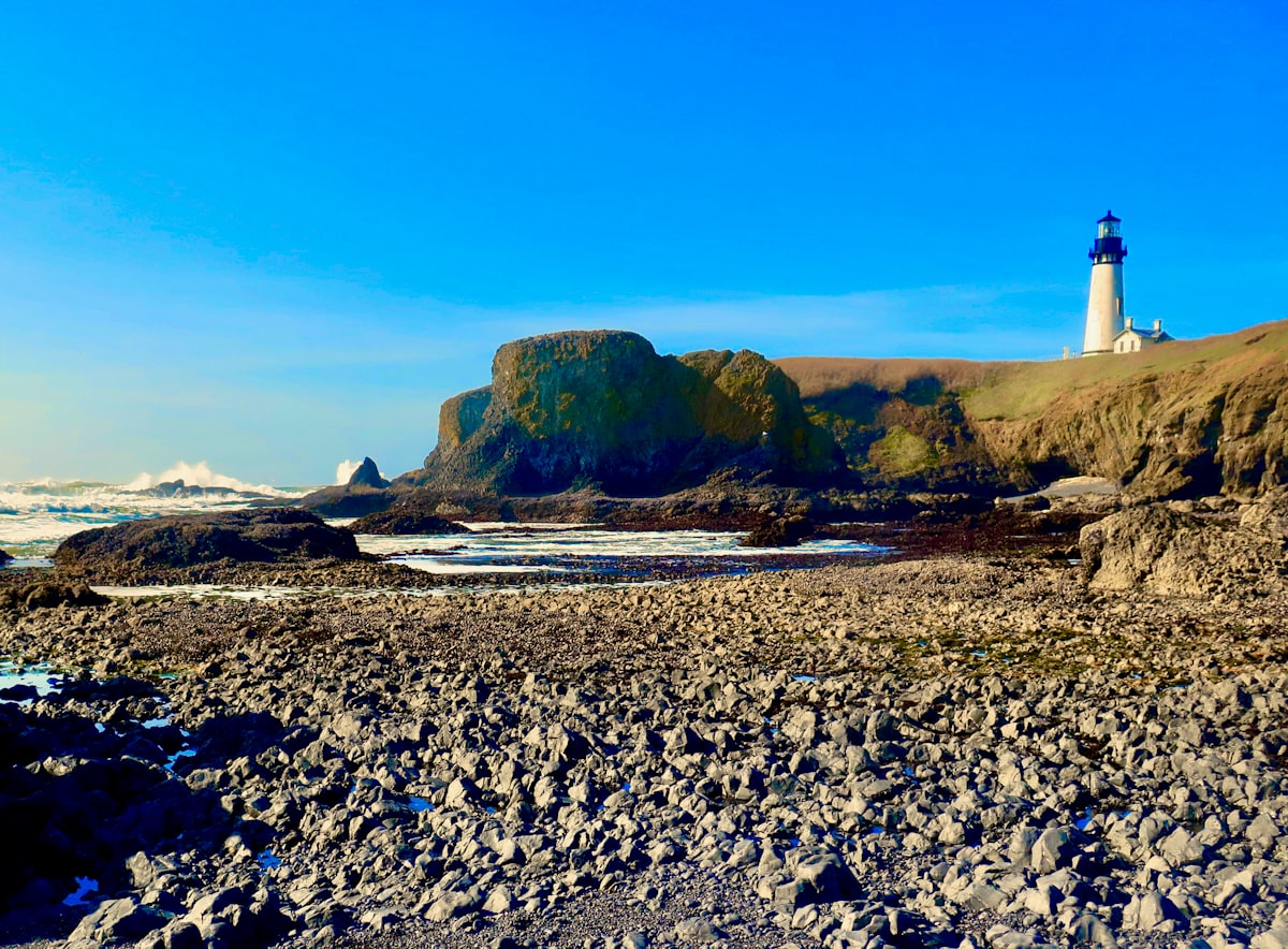 brown rock formation on beach during daytime related to Discover the Charm of Newport, Oregon: The Ultimate Guide to Bed and Breakfasts