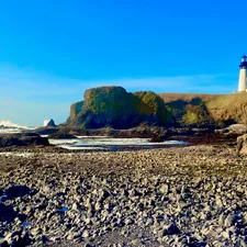 brown rock formation on beach during daytime related to Discover the Charm of Newport, Oregon: The Ultimate Guide to Bed and Breakfasts