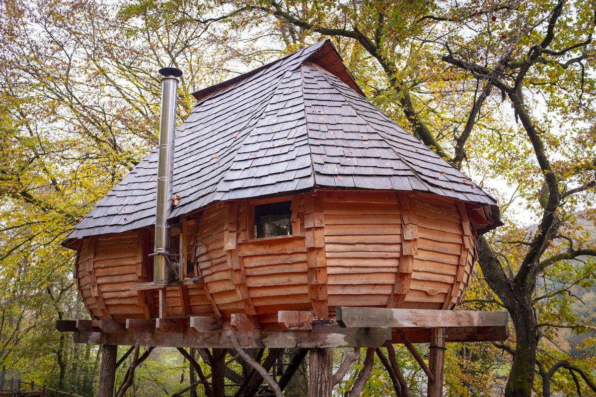 brown wooden house near trees during daytime related to Explore the Best Treehouse Beds for Sale: A Dreamy Retreat for Kids