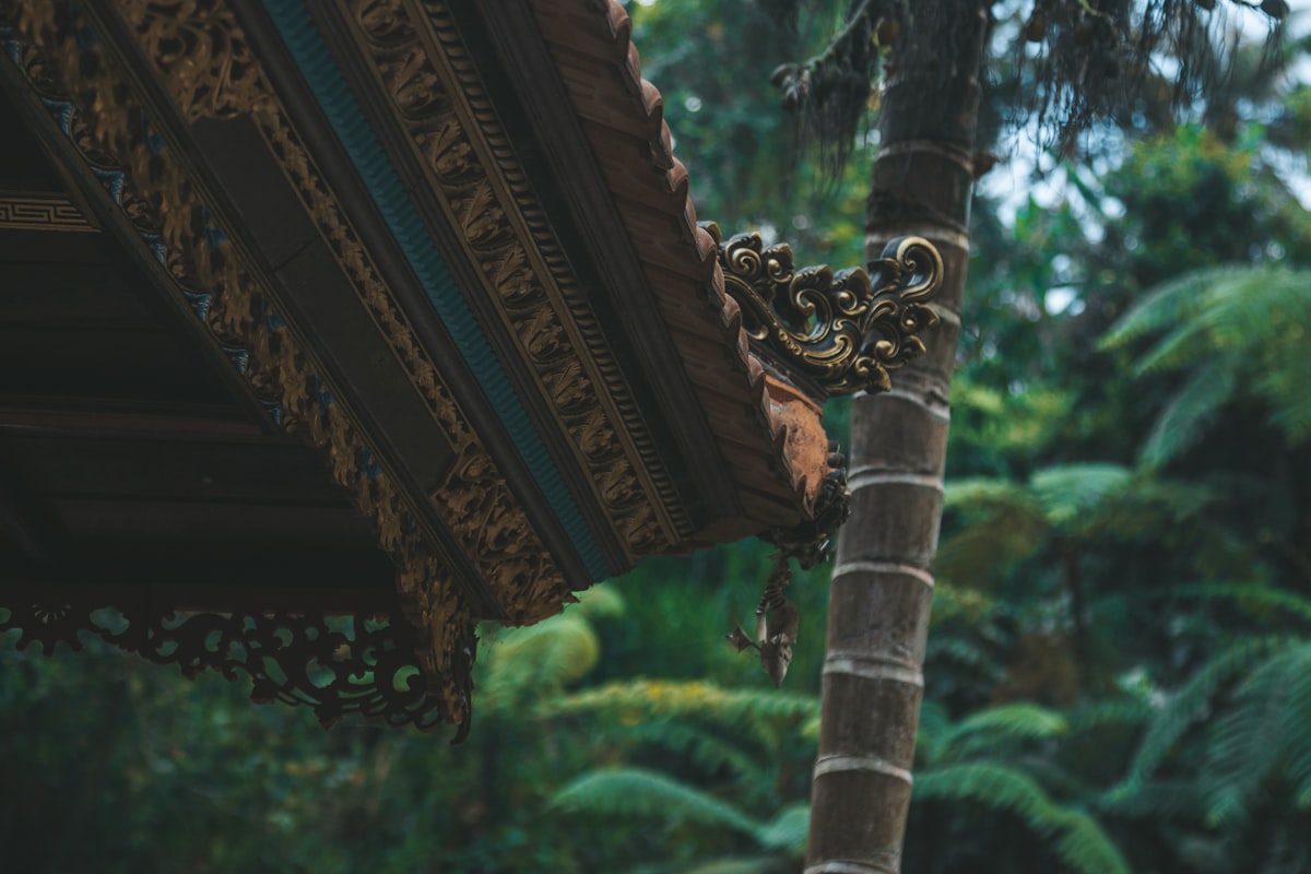 brown wooden roof near green trees during daytime related to Bali Valence Clips