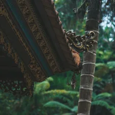 brown wooden roof near green trees during daytime related to Bali Valence Clips