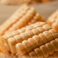 bunch of sliced corn related to Cornice-Style Valances