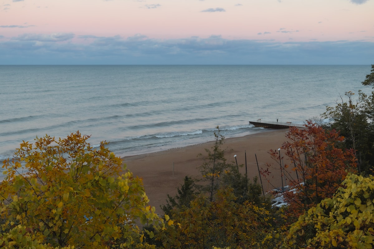 Calm ocean waves lap a sandy beach with autumn trees. related to Exploring the Charm: Bed and Breakfasts in Michigan