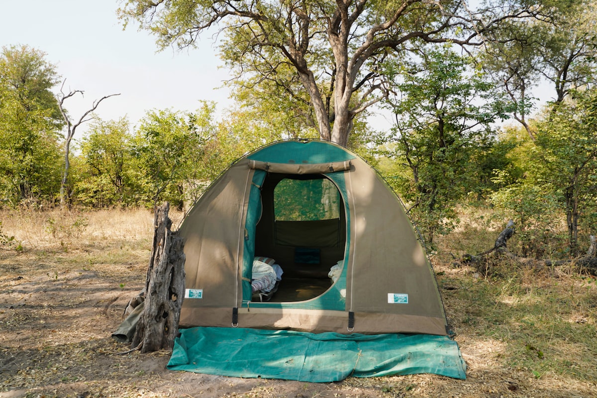 Camp-out in the forest of Okavango Delta, Bostwana. related to Classic Swag Valance: Timeless Elegance for Your Home