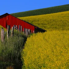canola flowers by barn related to The Versatile Ballad of Valance: A Country Music Legacy Defined