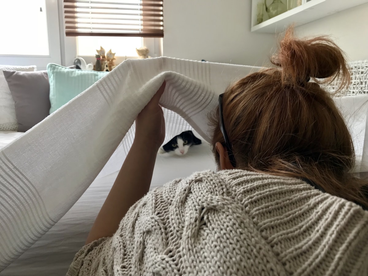 Cat tried to hide. related to The Peaceful Pursuit: Benefits of Practicing Yoga Before Bed
