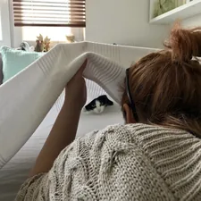 Cat tried to hide. related to The Peaceful Pursuit: Benefits of Practicing Yoga Before Bed