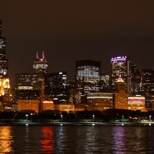 Chicago Skyline related to Chicago Bed Bug Experts: Your Ultimate Guide to Pest Control