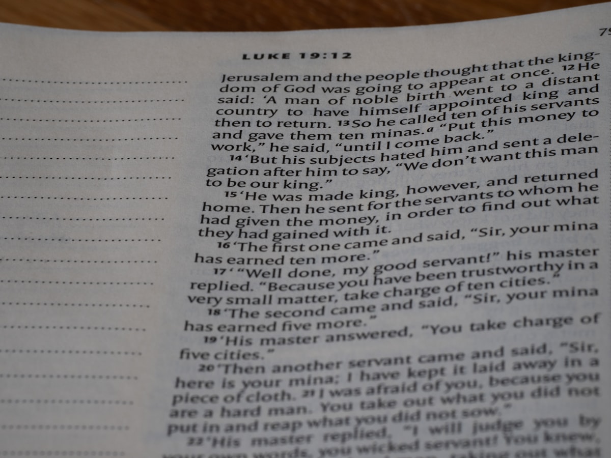 close up, bokeh, bible, new testament, christian, history, text, reading, bible study, devotions, christianity, scripture, Gospel of John, John, Gospel, related to Relief from the Itch: How to Get Rid of Bed Bug Bites
