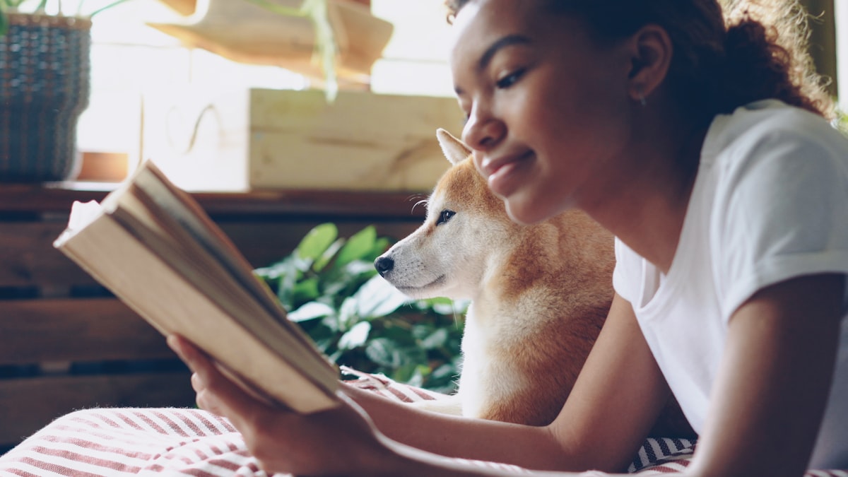 Close-up shot of African American girl dog owner reading book lying on bed in modern flat near adorable obedient pet. Interesting hobby, literature and domestic animals concept. related to The Ultimate Guide to Choosing the Perfect American Girl Bed