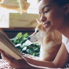 Close-up shot of African American girl dog owner reading book lying on bed in modern flat near adorable obedient pet. Interesting hobby, literature and domestic animals concept. related to The Ultimate Guide to Choosing the Perfect American Girl Bed