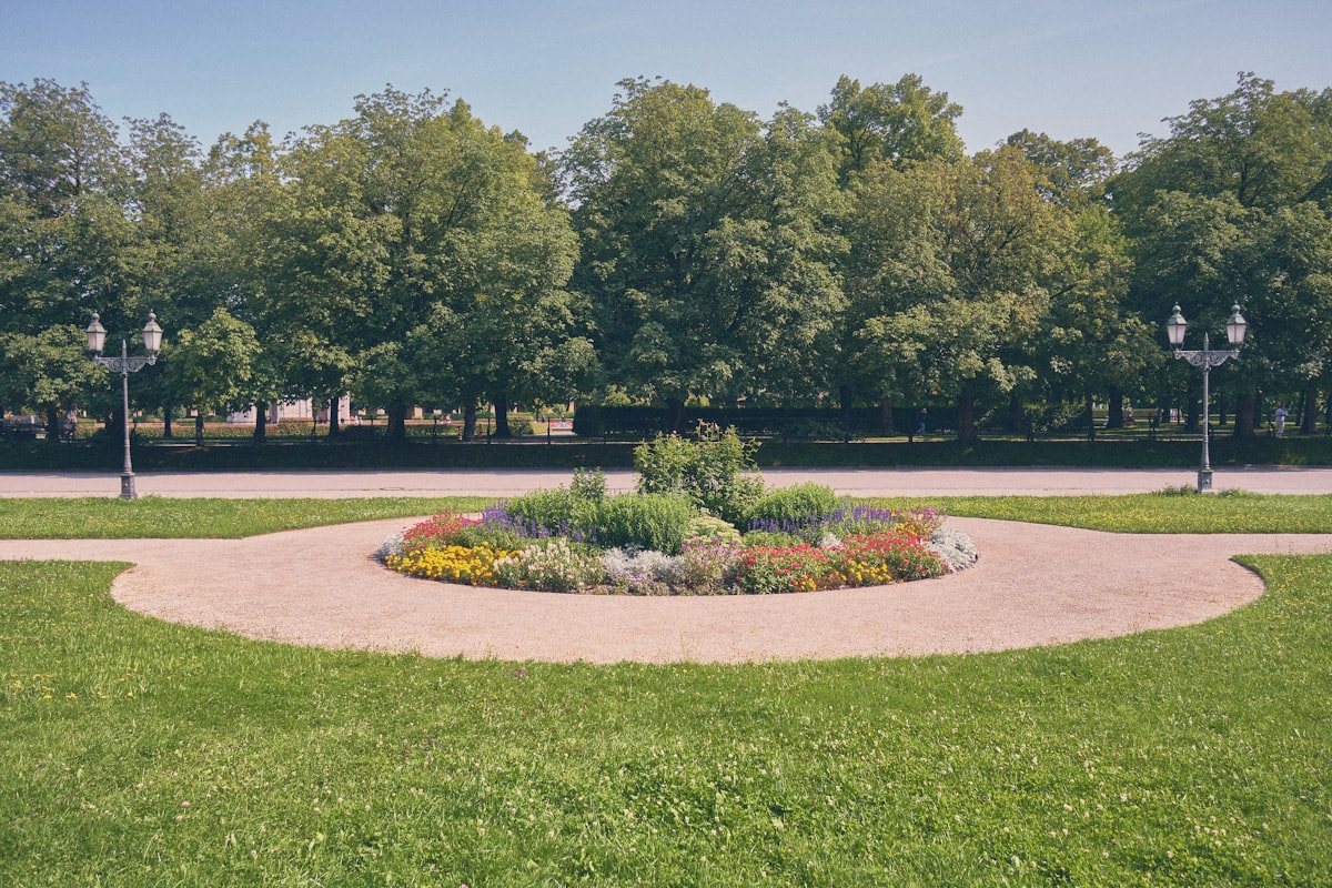 Colorful flower bed in a park with trees and paths. related to Enhancing Your Landscape: Flower Beds Around Trees