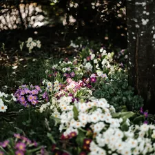 Colorful flowers bloom beneath a tree's shade. related to Illuminate Your Garden: The Magic of Flower Bed Lights