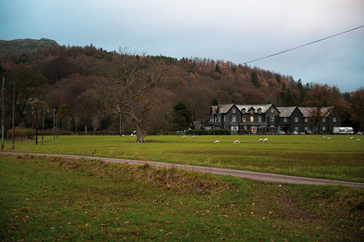 Coniston landscape and farmland related to Experience Charm at Watkins Glen Bed and Breakfast
