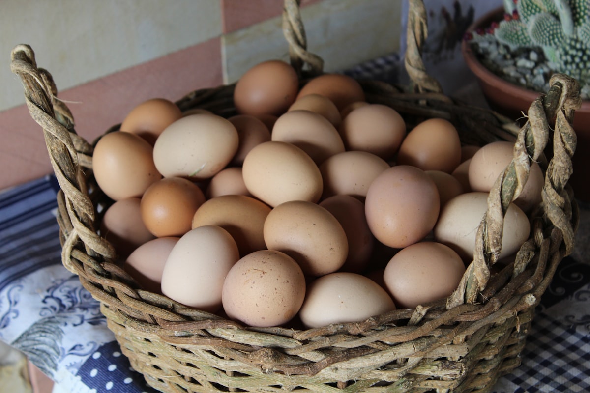 eggs in brown wicker basket related to The Benefits of Using an Egg Crate for Your Bed: Sleep Better Tonight