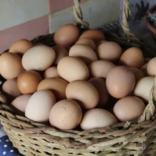 eggs in brown wicker basket related to The Benefits of Using an Egg Crate for Your Bed: Sleep Better Tonight