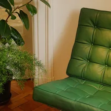 empty green leather padded sofa by plant in pot related to The Ultimate Sleeping Solution: Futon Sofa Bed
