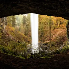 "Eye of the Waterfall" Inside the north falls of Silver Falls State Park.  related to Brown Waterfall Valance