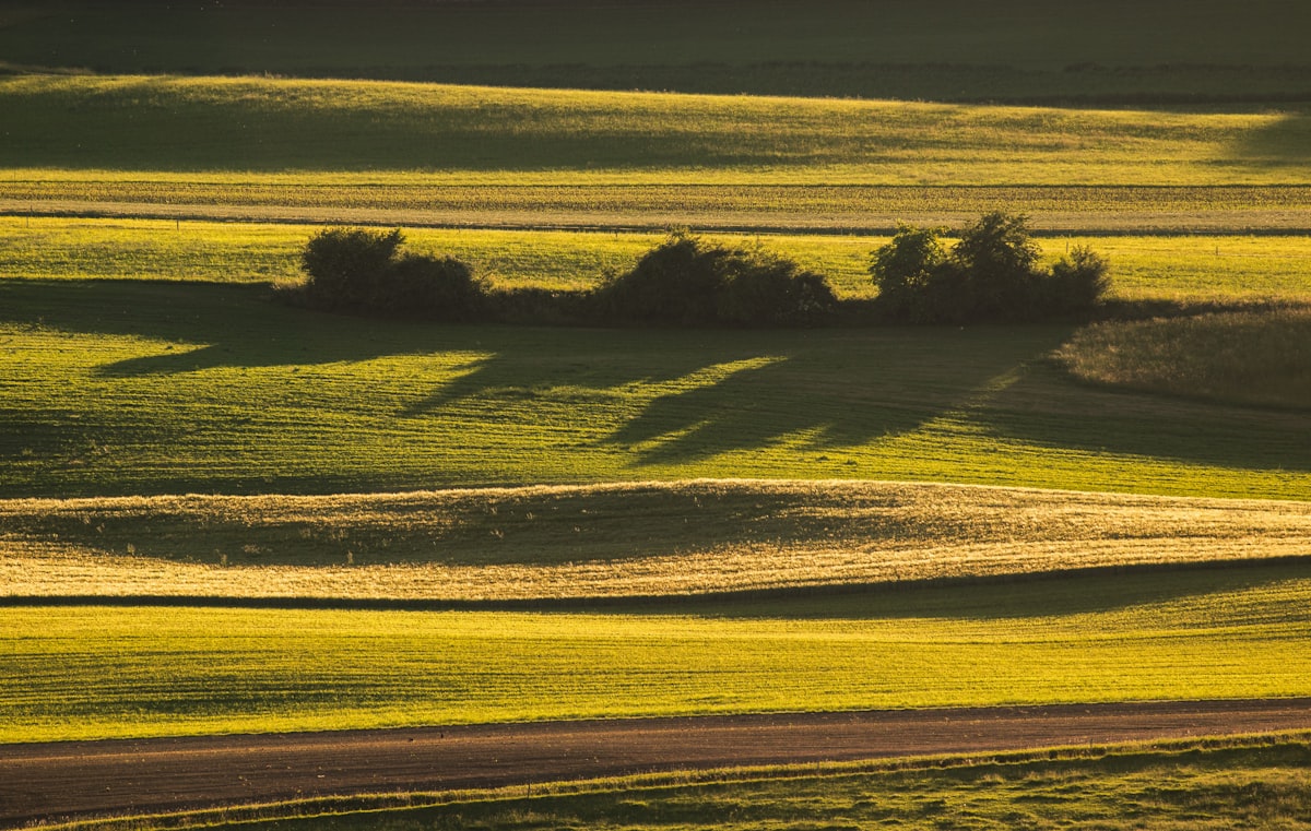 Farmland related to The Versatile Ballad of Valance: A Country Music Legacy Defined