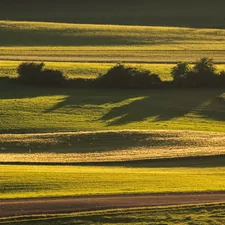 Farmland related to The Versatile Ballad of Valance: A Country Music Legacy Defined