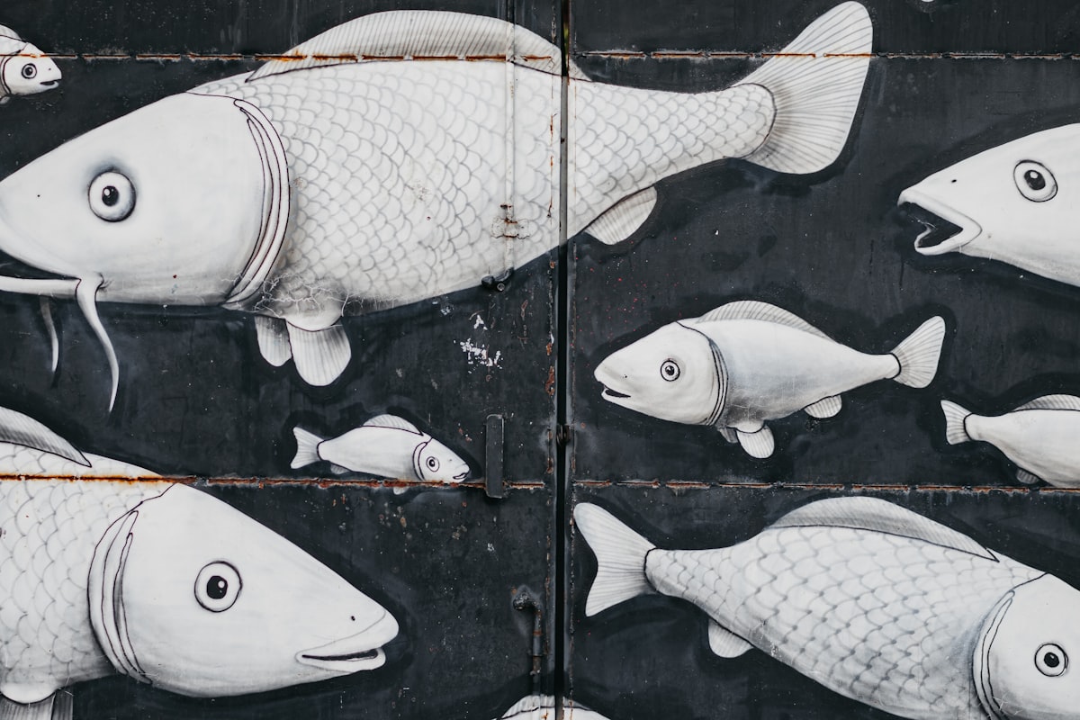 fishs mural related to Adorable Fish Crib Bedding: A Perfect Underwater Theme for Your Baby's Nursery