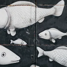 fishs mural related to Adorable Fish Crib Bedding: A Perfect Underwater Theme for Your Baby's Nursery