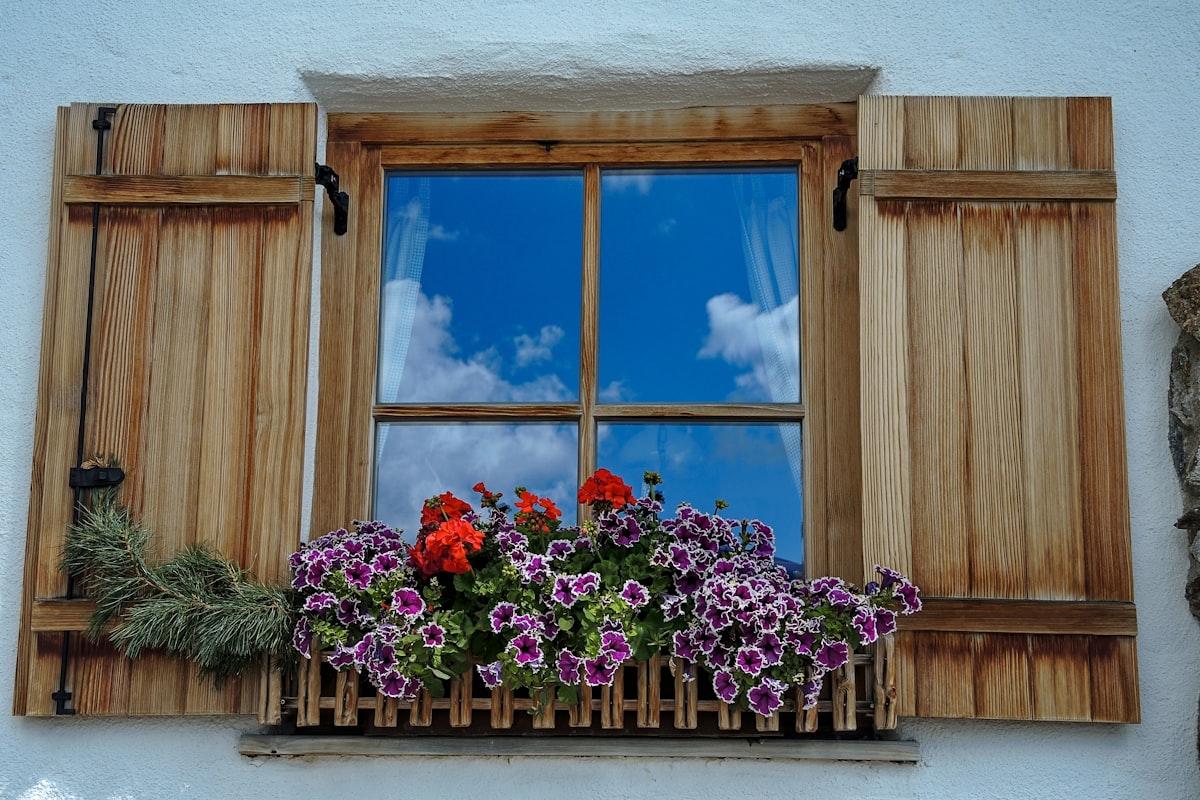 flowers in pot blooming beside window related to Wooden Window Valances