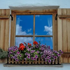 flowers in pot blooming beside window related to Wooden Window Valances