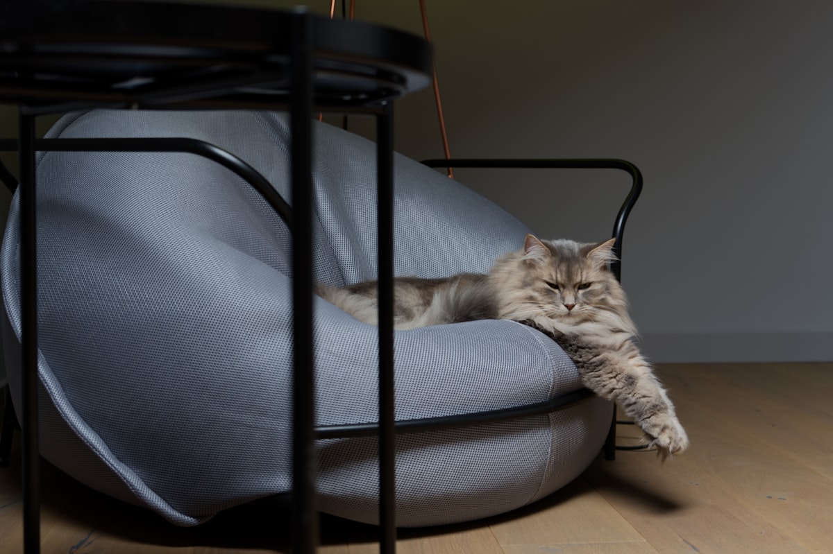fluffy grace related to Pampering Your Feline Friends: The World of Luxury Cat Beds